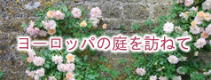 �衼���åѤ�����ˬ�ͤ�