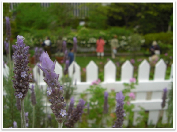 �ե�����٥����