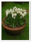 �ॹ�����ȭ���������襤���Ǥ��͡�