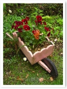 �겡���֤Υ���ƥʡ�