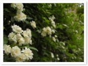 ��å����Х�