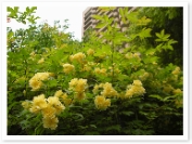 ����å����Х�