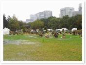 CIMG7915.JPG CIMG7915.JPG