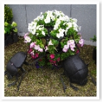 フンコロガシのオブジェ フンコロガシのオブジェ