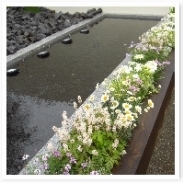 ֤οޤȤƥ쥤Ȥ촶Τݤ˻žޤ