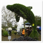 륫Υȥԥ꡼¾ˤڥ󥮥Ļʤ