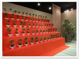 줾쾯İ㤦򤷤ƤƤ襤餷Ǥ