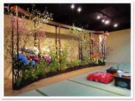 ֢򿩤٤ʤƎͤ餤ǤʤǤ礦͡