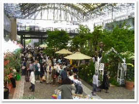 ޥ륷ΥХǾ줿ƥ饹Ǥϥ󥵡ȤԤޤ