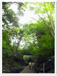 Ȭβ̤ޤƵ٤ߤʤΤǿƻϢƤޤ