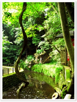 ưºëʷϵѤäƤƤޤ