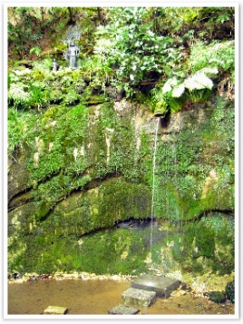 ư졣ϲ夬ؤη֤߽ФΤ褦ͯФƤޤ