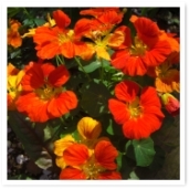 ʥࡣˤʤäƤ뤳Ȥޤ͡