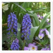 ॹȥӥ顣ƱϿβ֤ϤϤǤ͡