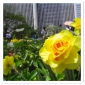 Ȭź餭硣ۤ˸äƺ餤Ƥޤ