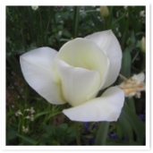 򤤥塼åס쥬ȤʷǤ͡