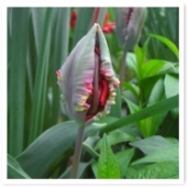 塼åפΤĤܤߡҤҤ餷֤Ӥηɤʷ˺餯ΤڤߤǤ