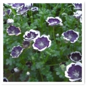 β֤򤤱Ƥ襤餷֤Ǥ