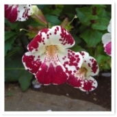 ȥɥåˤĤͤŨǤΥȤꤽǤ͡