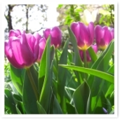 塼åפ⺣ǽǤ͡ޤǯ