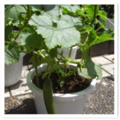 ٥奦ꡣ⤦٤륭奦ա