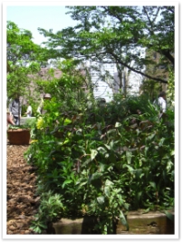 ޥ륷ΥХǾ줿ƥ饹Ǥϥ󥵡ȤԤޤ