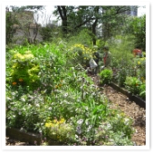 ؾ椬ܤ餤ˤʤäΤ⤢ޤ