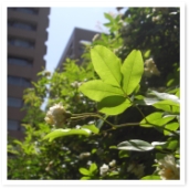 ꤫ΥåХ顣֤路路Ƥޤ