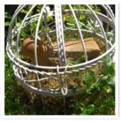 ĻˤϤĻ󤬤ޤ˾ʪɬܤǤ