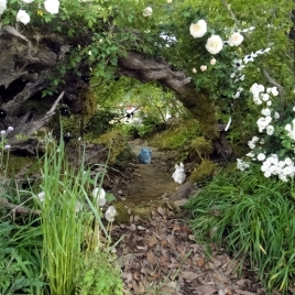 ȥȥȥ餷ѡɤ󤰤Ƥޤ