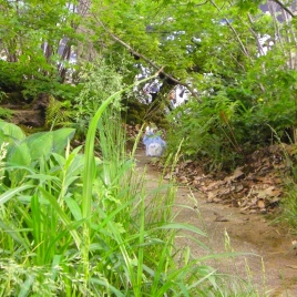 ȿ¦ؤޤȎȥȥäƤޤ