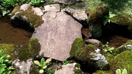 Image [36] /</div /</div /</div /</div