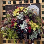 20121017_0955_56_0461w750_h750