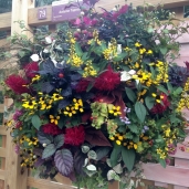 20121017_0956_27_0148w750_h750