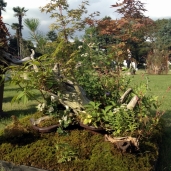 20121017_0956_11_0148w750_h1000