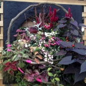 20121017_0956_40_0178w750_h750