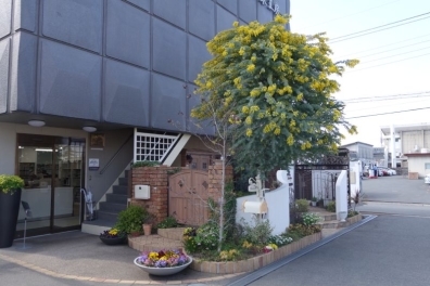 ѣԹ˼The Garѣפȥߥ⥶ / / / /