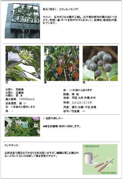 緑の計画書 緑の計画書