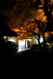  ζ߬դޤĤꡦλŸ ̸10 / / / / /