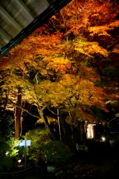 ζ߬դޤĤꡦλŸ ̸11 / / / / /