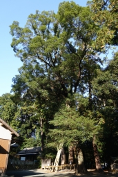 սθ̸޻ꡡ1 - 02 / /