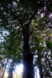 սθ̸޻ꡡ1 - 08 / /