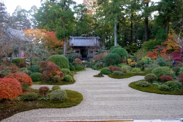 սθ̸޻ꡡ1 - 12 / /