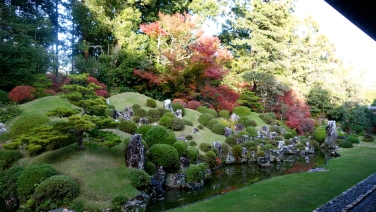 սθ̸޻ꡡ1 - 16 / /