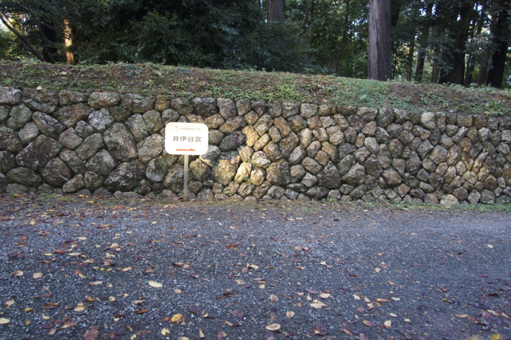NiwaNaviPopupImage