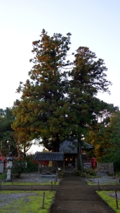 սθ̸޻ꡡ1 - 35 / /