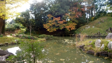 սθ̸޻ꡡ2 - 24 / / / /