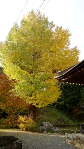 սθ̸޻ꡡ2 - 25 / / / /