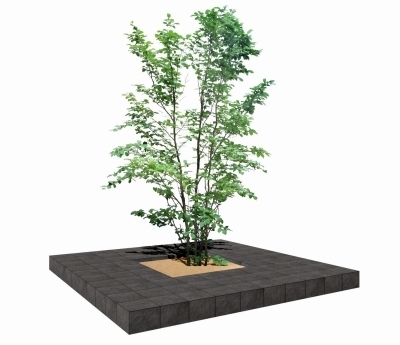 20150602_2118_39_0206w400_h345 20150602_2118_39_0206w400_h345