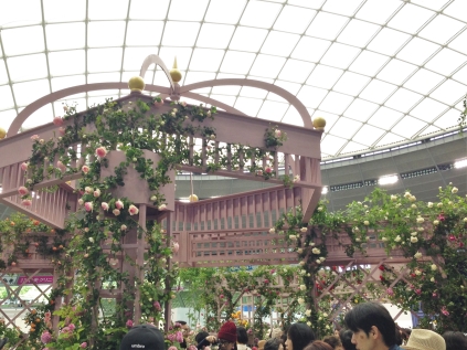 IMG_9843 (2) / / / / / / / / / / / / / / / / / IMG_9843 (2) / / / / / / / / / / / / / / / / /